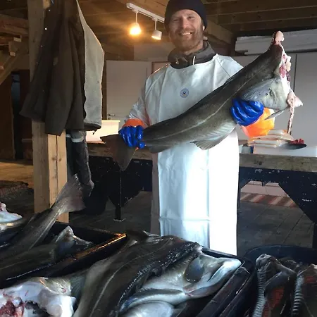 Kompleks wypoczynkowy Kalle I Lofoten